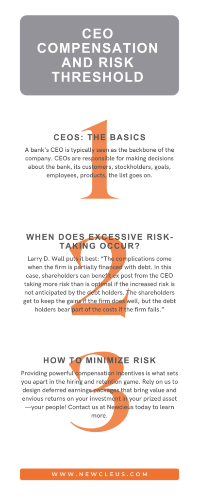 CEO Compensation and Risk